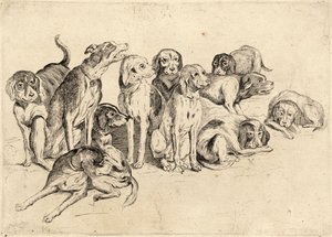 11猟犬 作： Wenceslaus Hollar
